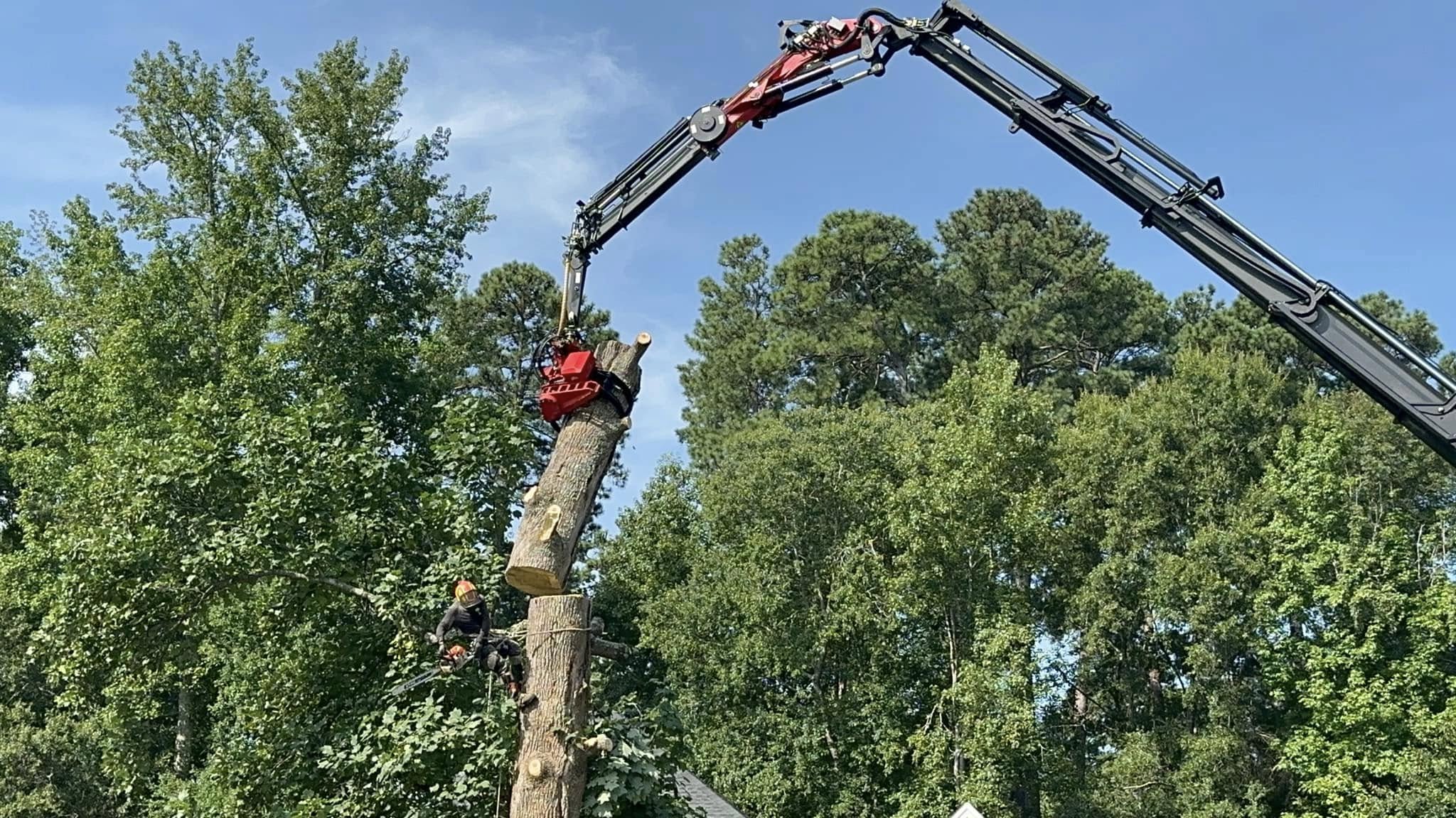 TreeFix aan het werk